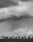 Miggy Wild - rain cloud b&w No 2