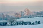 Paul Brewerton - Sunrise on Frost