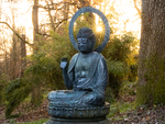 Buddha sees light