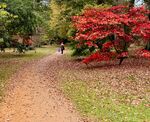 Nick Hardwick - Harcourt Arboretum-5